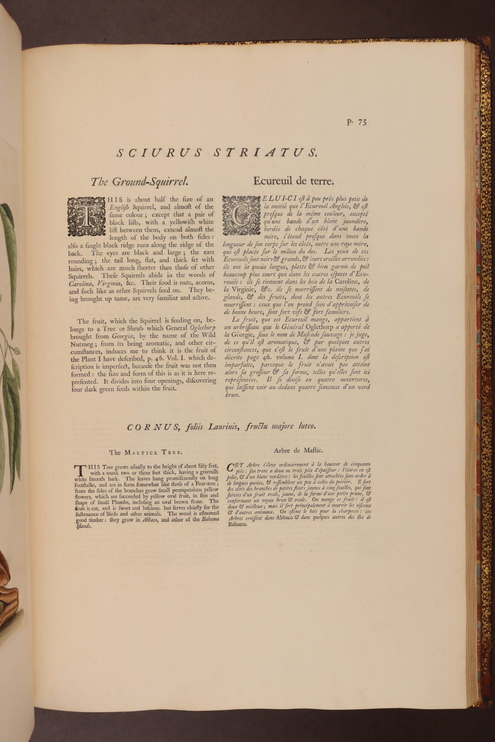 Page 75